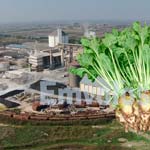 ΕΛΛΗΝΙΚΗ ΒΙΟΜΗΧΑΝΙΑ ΖΑΧΑΡΗΣ: Ανάσα από την Τράπεζα Πειραιώς – Ανασυγκρότηση της εταιρίας