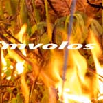 Πολιτική Προστασία Δ. Αλεξάνδρειας: Εφαρμογή μέτρων πυροπροστασίας 2016