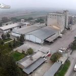 ΕΛΒΙΖ Πλατύ