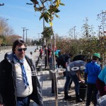 Δενδροφύτευση με μπροστάρηδες τους Προσκόπους στην Αλεξάνδρεια (φωτό-βίντεο)