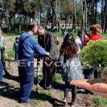 Εκστρατεία δενδροφύτευσης στον Δήμο Αλεξάνδρειας – Ξεκινάει από το Πλατύ