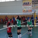 Τουρνουά Επίδειξης Βόλεϊ Γυμνασίων Δήμου Αλεξάνδρειας (βίντεο-φωτό)