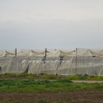 Νέα έγκριση αιτήσεων ένταξης στο πρόγραμμα για επιχορήγηση μέσων Ενεργητικής Προστασίας