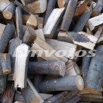 Εκποίηση δασικών προϊόντων από το Δασαρχείο Βέροιας την Τετάρτη, 30 Μαρτίου