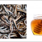 ΕΦΕΤ: Νοθεία στη διακίνηση μελιού και ιχθυηρών