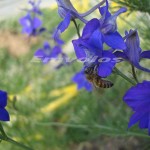 Εαρινή ισημερία αύριο Κυριακή 20 Μαρτίου 2016 – Επίσημη είσοδος της άνοιξης