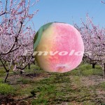 Βέροια: Πρώτο Φεστιβάλ ροδάκινου στην Βέροια 27 – 29 Μαΐου 2016