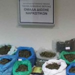 Συνελήφθη 26χρονος σε περιοχή της Ημαθίας για κατοχή και διακίνηση κάνναβης