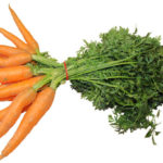 Αποκωδικοποιήθηκε πλήρως το DNA του καρότου, το οποίο έχει πολύ περισσότερα γονίδια από τον άνθρωπο