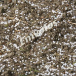 Αλεξάνδρεια: Ισχυρή χαλαζόπτωση έπληξε περιοχές του Δήμου Αλεξάνδρειας (βίντεο – φωτο