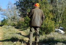 Ενημέρωση για την αποτροπή της εξάπλωσης της επιωοτίας της Ευλογιάς των αιγοπροβάτων κατά την άσκηση θήρας σε περιοχές αρμοδιότητας του Δασαρχείου Βέροιας