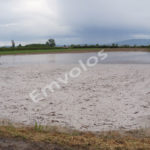 ΕΛΓΑ: Αποστολή πορισμάτων εκτίμησης ζημιών για σπανάκι και μηδική της Δ. Κοινότητας Αλεξάνδρειας