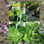 Λικέρ Δυόσμου