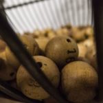 Πολιτιστικός Μορφωτικός Σύλλογος Νησελίου – Κλήρωση λαχνού