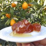 Γλυκό κουταλιού κουμκουάτ
