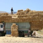 Αλλοδαποί εργάτες γης – Διαδικασία πρόσληψης