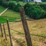 Δημοπρασίες για την εκμίσθωση αγροτεμαχίων της Δ.Ε. Πλατέος την Τετάρτη, 24 Φεβρουαρίου