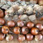 Προσοχή δεν συντηρούνται όλα τα τρόφιμα μέσα στο ψυγείο – Γράφει η Μαρία Αλιμπέρτη – Κατσάνη