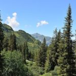 Ένστολοι πλέον οι δασοφύλακες στην ύπαιθρο