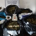 Συνελήφθησαν πατέρας και γιος στην Ημαθία για κατοχή μεγάλης ποσότητας κάνναβης