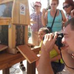 Μελισσοθεραπεία για βελτίωση παθήσεων, χαλάρωση και ευεξία στα μοναδικά, απολύτως ασφαλή “σπιτάκια” – θεραπευτήρια στην Ελλάδα