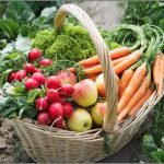 Μήπως να τρώμε νερό αντί να πίνουμε για να έχουμε υγεία; – Γράφει η Μαρία Αλιμπέρτη – Κατσάνη