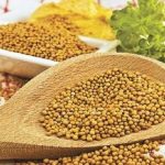 Μουστάρδα σε σπόρο ή σε κρέμα έχει πολλά οφέλη για την υγεία! – Γράφει η Μαρία Αλιμπέρτη – Κατσάνη