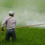 Τι σημαίνει η επανέγκριση της γλυφοσάτης για τους αγρότες