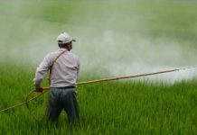 Η Γαλλία αναστέλλει τις εισαγωγές αγροτικών προϊόντων που καλλιεργούνται με χρήση 5 απαγορευμένων στην ΕΕ ουσιών