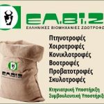 ΕΛΒΙΖ