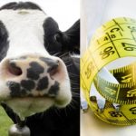 Έχω μια λογική απορία, γιατί παχαίνω; – Γράφει η Μαρία Αλιμπέρτη – Κατσάνη