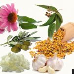 Φυσικά αντιβιοτικά, ιδιότητες και χρήσεις – Γράφει η Μαρία Αλιμπέρτη – Κατσάνη