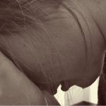 Η ενδοσχολική βία: τι είναι, γιατί συμβαίνει, πως αντιμετωπίζεται;