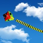 ΔΕΔΔΗΕ: Προσοχή στο πέταγμα των χαρταετών