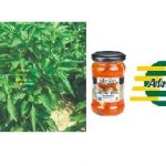 Η ΑΛΜΗ Α.Β.Ε.Ε. ΖΗΤΑ ΕΠΟΧΙΚΟ ΕΡΓΑΤΙΚΟ ΠΡΟΣΩΠΙΚΟ.