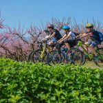 Βέροια: Άνθισαν τα χαμόγελα στην Ποδηλατάδα του ΤΟΒ