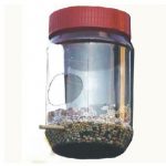 Κατασκευή ταΐστρας για μικρούς φτερωτούς ταξιδευτές – Γράφει η Μαρία Αλιμπέρτη – Κατσάνη