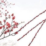 Πώς να φτιάξετε βραχιολάκι του Μάρτη – βίντεο