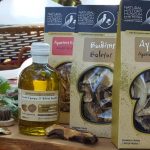 Συνεργασία του Μουσείου μανιταριών Μετεώρων και του ΤΕΙ Θεσσαλίας