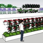 Οι καλλιέργειες στο μέλλον θα γίνονται χωρίς χώμα και χωρίς ήλιο και χωρίς λιπάσματα!!! – Γράφει η Ειρήνη Αιμονιώτη