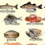 Ο υδράργυρος στα ψάρια – Τι κίνδυνος υπάρχει για την υγεία – Ποια ψάρια έχουν λιγότερο υδράργυρο