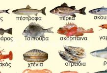 Ο υδράργυρος στα ψάρια – Τι κίνδυνος υπάρχει για την υγεία – Ποια ψάρια έχουν λιγότερο υδράργυρο – Γράφει ο Πέτρος Κεφαλάς Ο υδράργυρος στα ψάρια – Τι κίνδυνος υπάρχει για την υγεία – Ποια ψάρια έχουν λιγότερο υδράργυρο