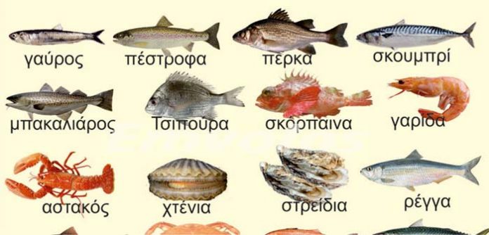 Ο υδράργυρος στα ψάρια – Τι κίνδυνος υπάρχει για την υγεία – Ποια ψάρια έχουν λιγότερο υδράργυρο