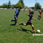 Νησέλι: Τουρνουά ποδοσφαιρικών ακαδημιών των Τηλέμαχων Αλεξάνδρειας. -βιντεο-φωτο