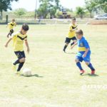 Νησί Ημαθίας: 2η ημέρα του μεγάλου τουρνουά ποδοσφαίρου του Αστέρα Αλεξάνδρειας. – Βίντεο – φωτο