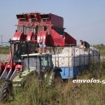 Παράταση καταληκτικής ημερομηνίας δηλώσεων ΟΣΔΕ