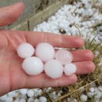 Αλεξάνδρεια: Υποβολή δηλώσεων για ζημία από το χαλάζι της 17ης Μαΐου στους ανταποκριτές ΕΛΓΑ της Δ.Ε. Αλεξάνδρειας έως 1 Ιουνίου