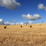 Στ. Αραχωβίτης, Ολ. Τελιγιοριδου: “Πληρωμές αγροτών: Η σφραγίδα της ΝΔ είναι σφραγίδα αδιαφάνειας και ανικανότητας”