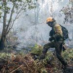 Iσπανία : Πάνω από 1.500 άνθρωποι εγκατέλειψαν σπίτια, κάμπινγκ και ξενοδοχεία εξαιτίας του κινδύνου από την φωτιά που κατακαίει δάση στα νότια της χώρας