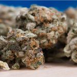 Αλεξάνδρεια: Συνελήφθη στην Αλεξάνδρεια Ιταλός υπήκοος για μεγάλη ποσότητα κάνναβης (σοκολάτα) – Αναζητείται συνεργός από Αλεξάνδρεια